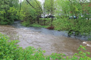 Combining of Waters, Little Schuylkill River, Tamaqua, 5-16-2014 (8)