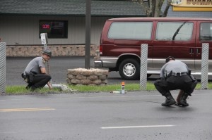 Fatal Motor Vehicle Accident, Car vs Car Carrier, US209, Cumbola, 5-15-2014 (34)