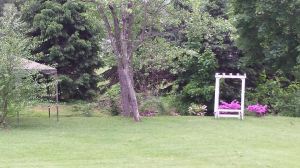 Flower Photos, by Judi Miller Musselman, South Tamaqua, West Penn, 5-28-2014 (2)