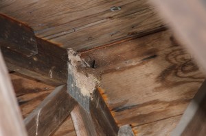 Fourth Day of Carbon County Envirothon, CCEEC, Summit Hill, 5-8-2014 (47)