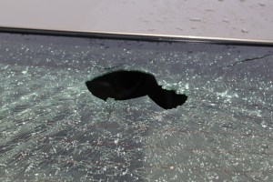 Hail Storm, Tamaqua, 5-26-2011 (120)