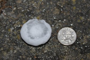 Hail Storm, Tamaqua, 5-26-2011 (28)