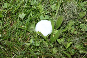 Hail Storm, Tamaqua, 5-26-2011 (3)
