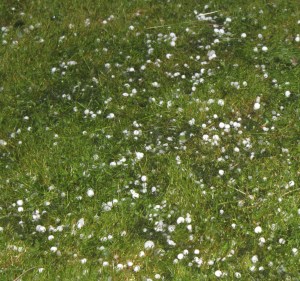 Hail Storm, Tamaqua, 5-26-2011 (44)