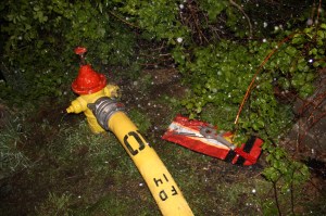 House Fire, 336 West Snyder Avenue, Lansford, 5-21-2014 (257)