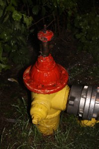 House Fire, 336 West Snyder Avenue, Lansford, 5-21-2014 (261)