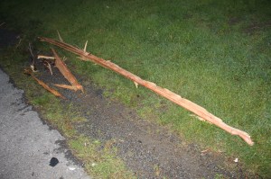 Lightning Strikes Tree, Biddle Street, Tamaqua, 5-22-2014 (1)