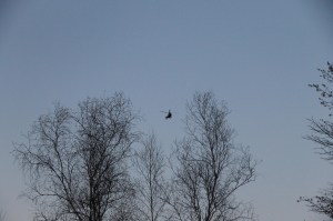 Medivac Helicopter Landing Zone Training, Emergency Service, Coaldale Fire Company, Coaldale (9)
