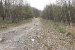 Picking Up Litter Behind Tamaqua Middle School, Tamaqua, Walker Township, 5-9-2014 (1)