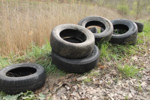 Picking Up Litter Behind Tamaqua Middle School, Tamaqua, Walker Township, 5-9-2014 (26)