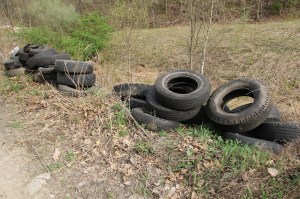 Picking Up Litter Behind Tamaqua Middle School, Tamaqua, Walker Township, 5-9-2014 (27)