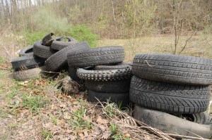 Picking Up Litter Behind Tamaqua Middle School, Tamaqua, Walker Township, 5-9-2014 (29)