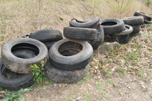 Picking Up Litter Behind Tamaqua Middle School, Tamaqua, Walker Township, 5-9-2014 (30)