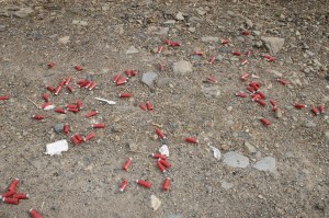 Picking Up Litter Behind Tamaqua Middle School, Tamaqua, Walker Township, 5-9-2014 (31)