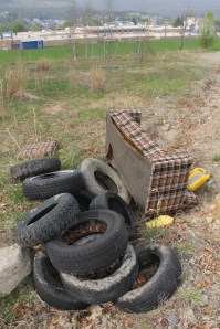 Picking Up Litter Behind Tamaqua Middle School, Tamaqua, Walker Township, 5-9-2014 (34)