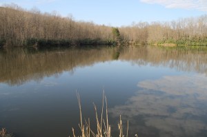 Rabbit Run Fishing Derby, First Day, Rabbit Run Reservoir, Tamaqua, 5-3-2014 (53)