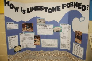 Science Fair, Elementary School, Tamaqua, 4-28-2014 (14)