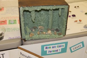 Science Fair, Elementary School, Tamaqua, 4-28-2014 (15)