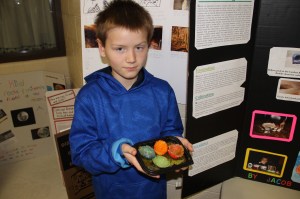Science Fair, Elementary School, Tamaqua, 4-28-2014 (18)