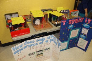 Science Fair, Elementary School, Tamaqua, 4-28-2014 (4)