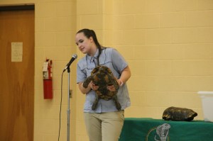 Science Fair, Elementary School, Tamaqua, 4-28-2014 (42)