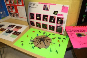 Science Fair, Elementary School, Tamaqua, 4-28-2014 (8)