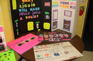 Science Fair, Elementary School, Tamaqua, 4-28-2014 (9)