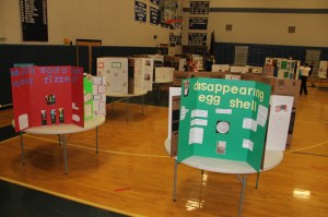 Science Fair, Tamaqua Middle School, TASD Auditorium, Tamaqua, 5-15-2014 (6)