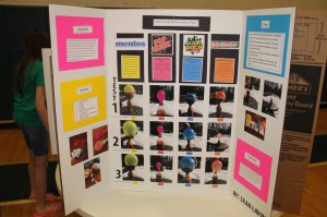 Science Fair, Tamaqua Middle School, TASD Auditorium, Tamaqua, 5-15-2014 (9)