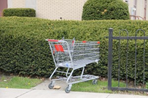 Shopping Cart Along West Broad Street in Downtown Tamaqua, 5-7-2014 (1)