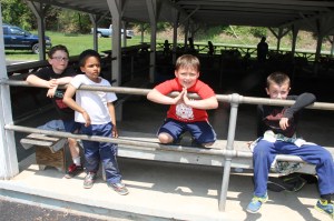 Spirit Day, St. Jerome's Regional School, West Penn Community Park, West Penn, 5-22-2014 (2)