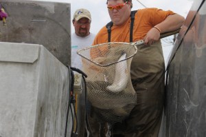 Sportsman's Rod and Gun Club Fishing Derby, Moyer Farm Pond, Ridge Road, Andreas (16)