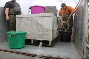 Sportsman's Rod and Gun Club Fishing Derby, Moyer Farm Pond, Ridge Road, Andreas (22)