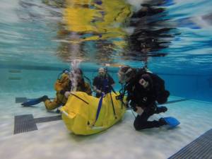 DAVID TRUSKOWSKY/SPECIAL TO TAMAQUAAREA.COM