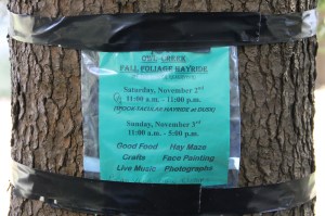 Views of Lower Owl Creek Dam, Tamaqua, 5-5-2014 (106)