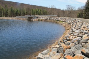Views of Lower Owl Creek Dam, Tamaqua, 5-5-2014 (11)