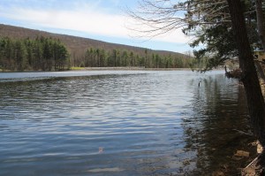 Views of Lower Owl Creek Dam, Tamaqua, 5-5-2014 (111)