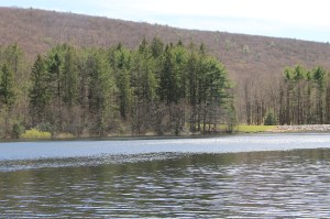 Views of Lower Owl Creek Dam, Tamaqua, 5-5-2014 (112)