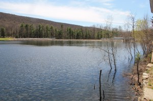 Views of Lower Owl Creek Dam, Tamaqua, 5-5-2014 (113)