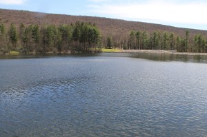 Views of Lower Owl Creek Dam, Tamaqua, 5-5-2014 (114)