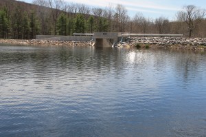 Views of Lower Owl Creek Dam, Tamaqua, 5-5-2014 (115)