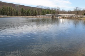 Views of Lower Owl Creek Dam, Tamaqua, 5-5-2014 (117)