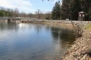 Views of Lower Owl Creek Dam, Tamaqua, 5-5-2014 (119)