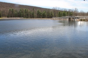 Views of Lower Owl Creek Dam, Tamaqua, 5-5-2014 (121)