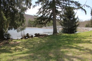 Views of Lower Owl Creek Dam, Tamaqua, 5-5-2014 (122)