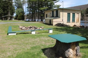 Views of Lower Owl Creek Dam, Tamaqua, 5-5-2014 (128)