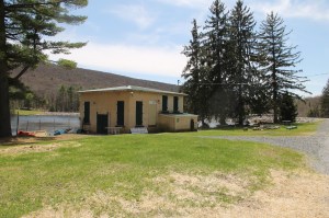 Views of Lower Owl Creek Dam, Tamaqua, 5-5-2014 (130)