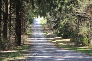 Views of Lower Owl Creek Dam, Tamaqua, 5-5-2014 (134)