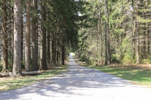 Views of Lower Owl Creek Dam, Tamaqua, 5-5-2014 (135)