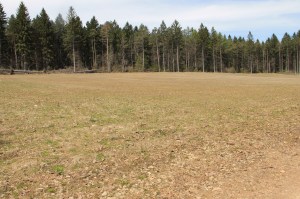 Views of Lower Owl Creek Dam, Tamaqua, 5-5-2014 (138)